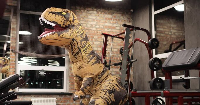 Big dinosaur doll with person inside in the gym, trains, does biceps exercise. Good mood during training. Inflatable doll. workout training with prehistoric animal. Tyrannosaurus Rex dinosaur.