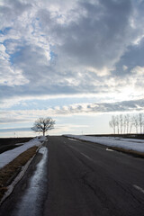 雪溶けの坂道と冬木立　美瑛町
