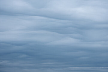bright and dark blue and grey clouds in the sky looking like soft waves in the ocean. rare weather phenomenon in times of climate changes. no people, soft flowing clouds only. 