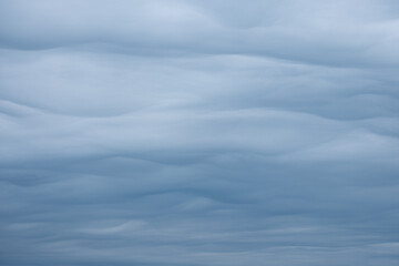 bright and dark blue and grey clouds in the sky looking like soft waves in the ocean. rare weather phenomenon in times of climate changes. no people, soft flowing clouds only. 