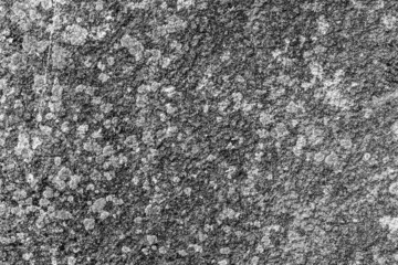 Fototapeta premium Concrete texture with streaks and stains. Gray structural background. Close up.