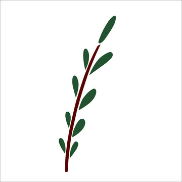 Image of a branch with green oval leaves for Christmas decoration