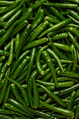 vegetable concept The thousands of spicy shiny thin long chilis with various color tones of green