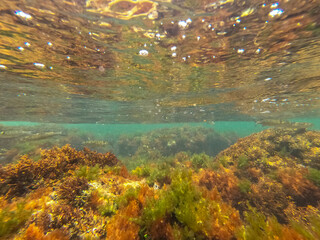 Underwater Las Rotas coast Denia Alicante Spain