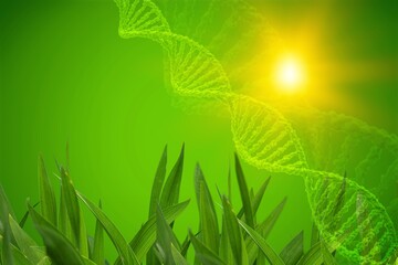 Science of green plant research, Chromosome DNA and genetic, record data in the fields.