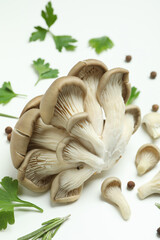 Concept of tasty food with oyster mushroom on white