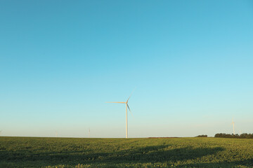 Fototapeta na wymiar Windmills in field on blue sky background