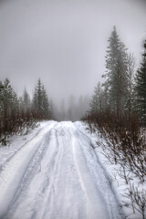 Obraz premium Snowy road on a misty day in Lapland