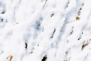 Neige blanche sur des branches au sol - Arrière plan matière naturelle design