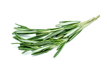 Fototapeta premium Rosemary isolated on white background
