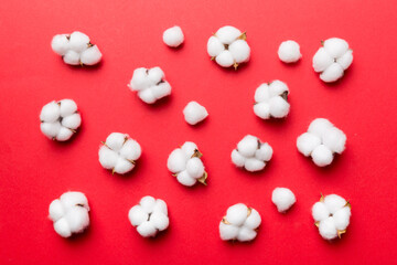 Autumn Floral Flat lay background composition. Dried white fluffy cotton flower branchwith green leaf top view on colored table with copy space