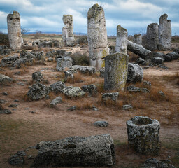 Pobiti Kamani planted stones, mystical natural sea bed rock formations rare attraction in Eastern europe,Bulgaria