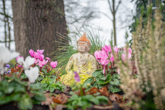 Buddha statue sigging between flowers and plants