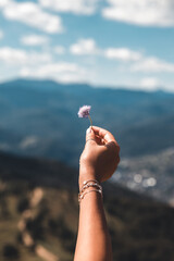 Purple flowers in hand on a background of mountains - 474201048