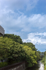 Fototapeta na wymiar 成城大学キャンパス付近の仙川（東京都世田谷区成城）
