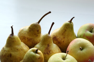 Apples and pears with twigs on a light background