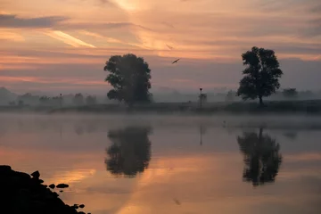 Fototapeten the river ijssel in the netherlands © twanwiermans