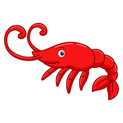 Cartoon shrimp on white background
