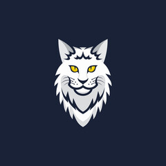 White cat head looking forward