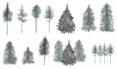 Forest tree Clipart set, Watercolor Woodland trees illustration, Winter Foggy landscapes, Pine forest,  Wedding invites, card making, logo