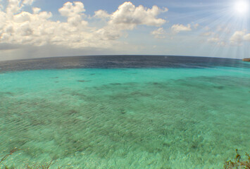 Fototapeta na wymiar underwater paradise , caribbean sea , Curacao island