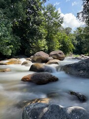 river in the forest