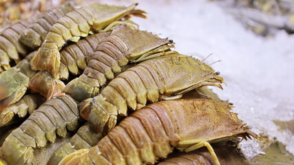 Fresh crayfish placed on ice. Close-up Mantis shrimps:(Odontodactylus scyllarus) beautifully arranged on a stall in a Thai traditional fishing market with copy space. selective focus