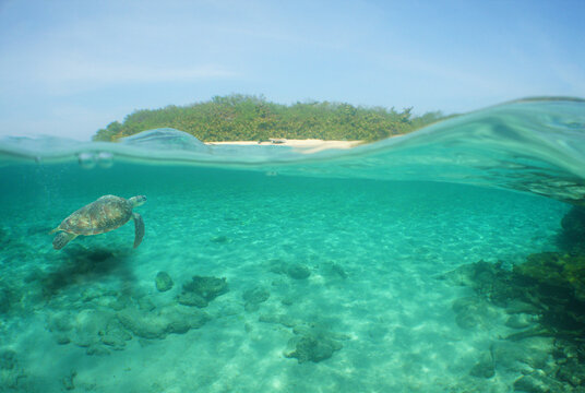 underwater paradise , caribbean sea ,  Curacao island