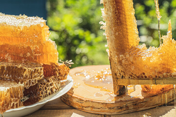 Golden organic pieces honeycombs in plate on apiary and garden background.Rural scene with honeycombs honey, bee in green meadow. Harvest honey. Concept Healthy eco natural food, diet, dieting