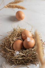 Fresh brown chicken eggs in hay nest. Healthy egg concepts