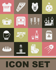 Set Satellite, Jar of honey, Saint Basil's Cathedral, Bear head, Ushanka, USSR t-shirt and Wheat icon. Vector