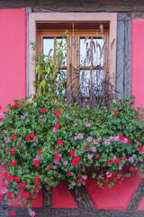 Fototapeta na wymiar Window with window box and geraniums