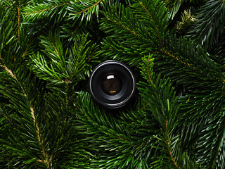 Hidden camera lens looking through green fir branches. Photography background.