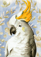 Watercolor illustration of a white parrot cockatoo with a yellow tufted head on a pale gray background © Мария Тарасова