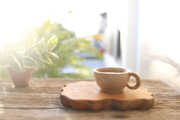 Wooden cup and Dracaena surculosa plant
