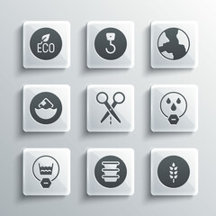 Set Bowl, Wheat, Water drop forbidden, Scissors with cut line, Delicate wash, Carton cardboard box, Leaf Eco symbol and Worldwide icon. Vector