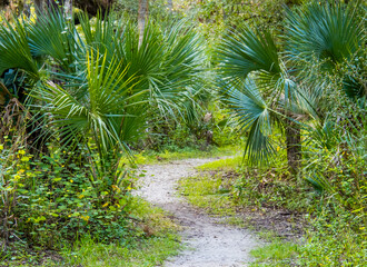 Walking path in Sleeping Turtles Preserve in Venice Florida USA