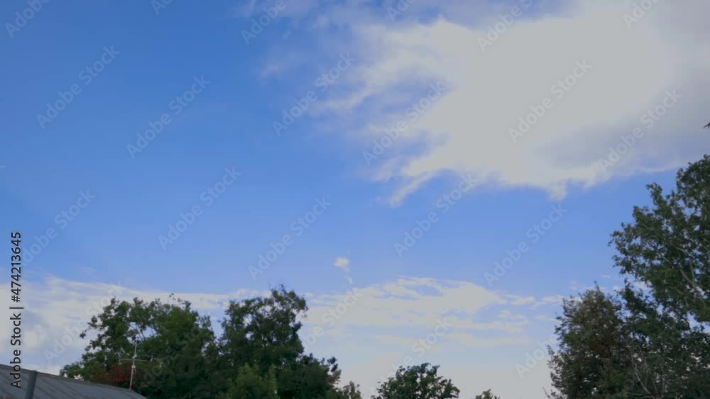 Poster hyperlapse of trees and clouds on a sunny day
