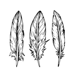 Hand drawn black feathers. Ethnic boho style hand drawing.