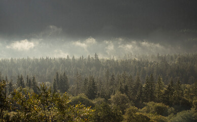 Alpiner Nadelwald im morgendlichen Sonnenlicht und Nebelschwaden mit bewachsene Felsenwand Hintergrund im Schatten – Licht Schattenspiel  © HLPhoto