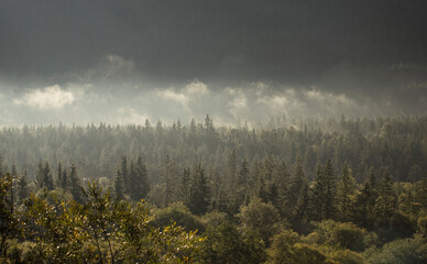 Alpiner Nadelwald im morgendlichen Sonnenlicht und Nebelschwaden mit bewachsene Felsenwand Hintergrund im Schatten – Licht Schattenspiel 