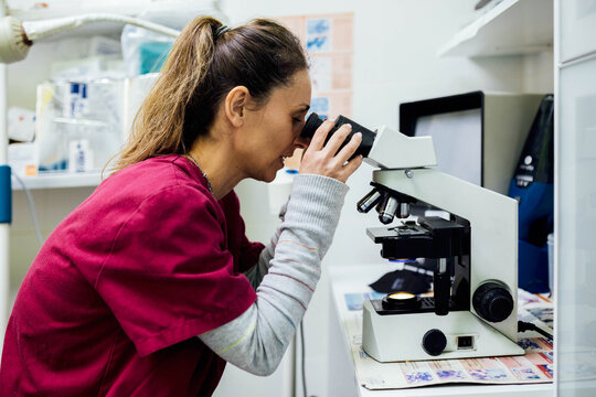 Veterinarian looking through microscope in clinic