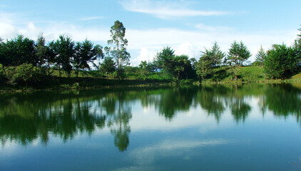 The lagoon in the Morro Arriba village in Miraflores, Boyaca, Colombia. The small lagoon reflects the abundant cold climate vegetation of the region.