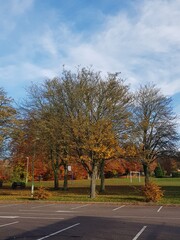 Car park and a autumn 