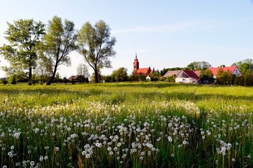 Fototapeta na wymiar Wiosna na wsi Warmińskiej 