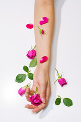 Obraz na płótnie Canvas Top view of female hands holding beautiful rose in palm and in hand, green leaves on the table on a light background. Alternative medicine concept made from natural plants