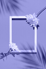 Chrysanthemum flowers and white frame on lavender background with palm tree leaves shadows. Nature concept. Copy space. Top view. Flat lay. Color of the year 2022 inspired