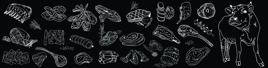 Vintage Butcher shop hand - drawn. Retro Menu Restaurant poster. Vector. Fresh meat products. Design element for poster, menu, flyer, banner, package.