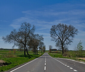 A fragment of the provincial road in early spring.