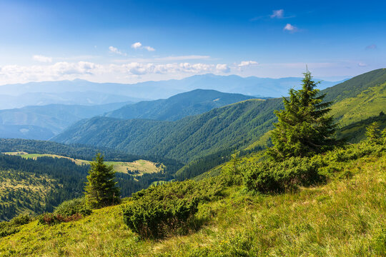 summer mountain landscape. beautiful green nature environment. blue sky with cloud. tree on grassy meadow. scenic outdoor view with forested hills. countryside scenery with valley. travel background